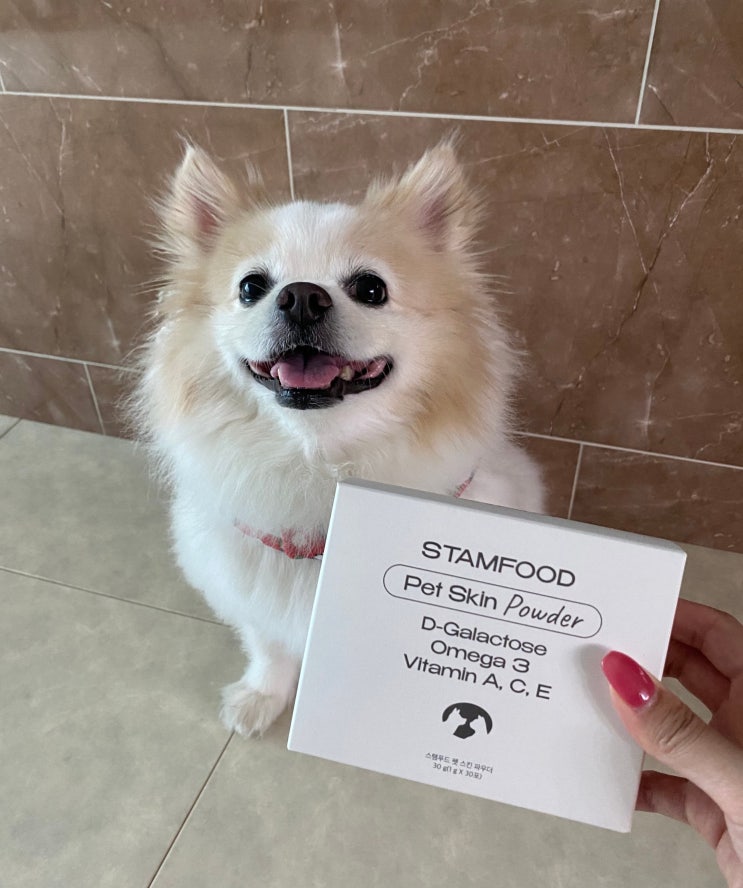  STAMFOOD 스탬푸드 스킨파우더 강아지 피부영양제 후기