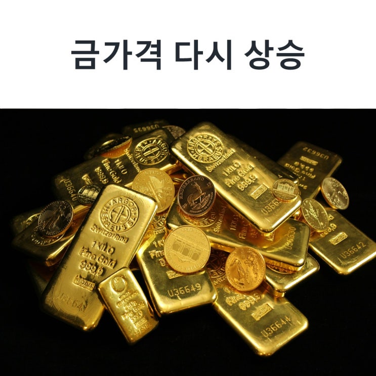  금가격 다시 상승