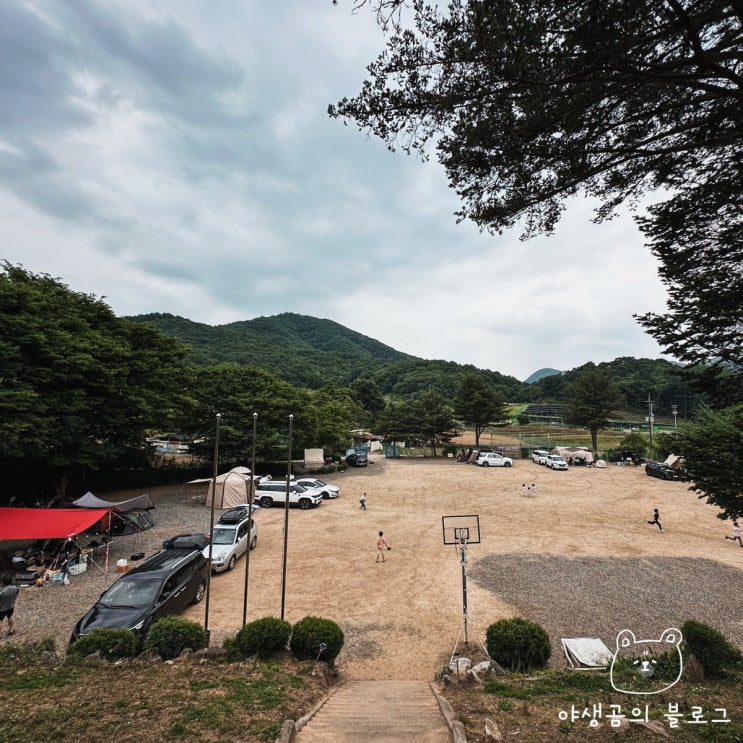  파주캠핑장 고즈넉한 학교 안 풍경 땡큐캠핑 애견동반 서울근교캠핑장