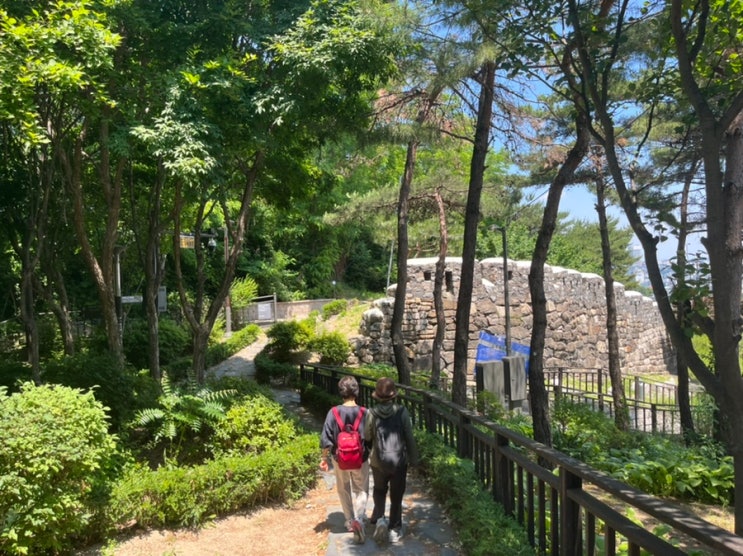  한양도성 순성길 다산성곽길 걸어보기! 약수역 근처 산책하기 좋은 서울 명소~