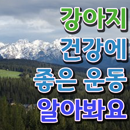  반려동물 관련 직업 , 반려견운동지도사 동영상 과정으로 손쉽게 끝냈던 비법