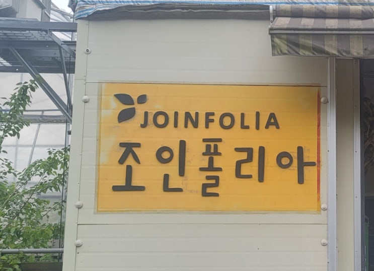 조인폴리아 다녀왔어요//정글 가든