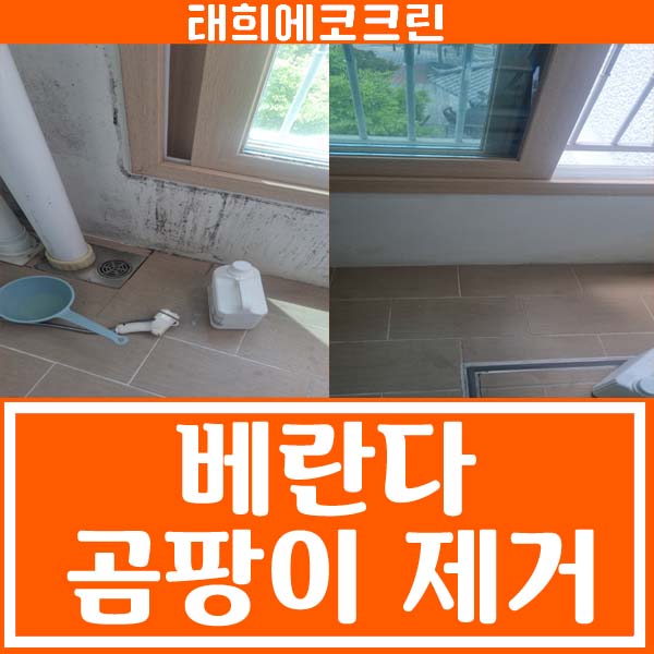  전주청소업체-베란다 곰팡이제거
