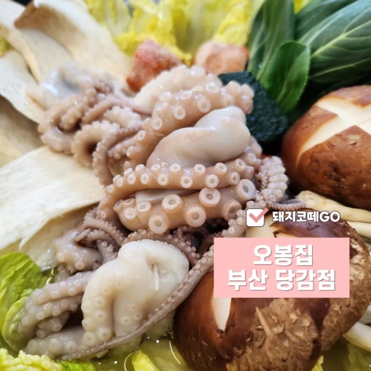 돼지코떼GO_부산보쌈맛집_자극적이지 않고 건강한 맛 오봉집 부산당감점