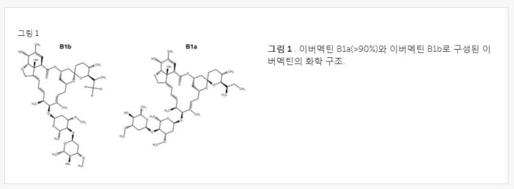  대장암 세포 성장을 억제하는 구충제 이버멕틴 항암 효과. (해외 논문)