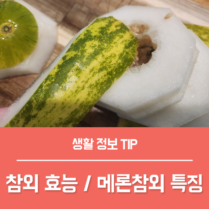  참외 효능 참외씨 알레르기 부작용, 메론참외 개구리참외 맛, 임산부 참외 1개 칼로리는?