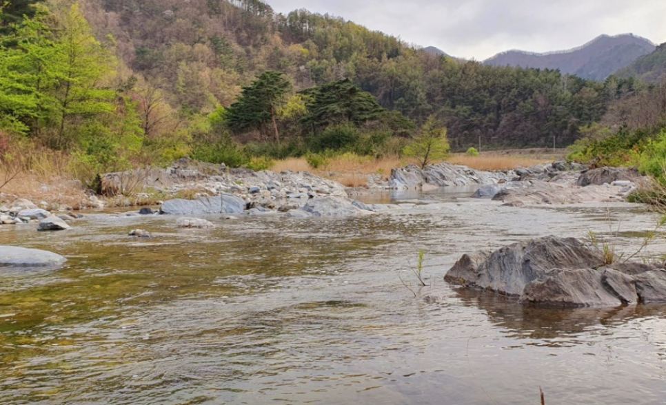 Songwonnongjangminbak photo 6