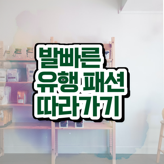  대구퍼스널컬러가격 , 퍼스널컬러컨설턴트 고졸도 인강만 듣고 독학으로 쉽고 빠르게 끝내는 꿀팁 모음