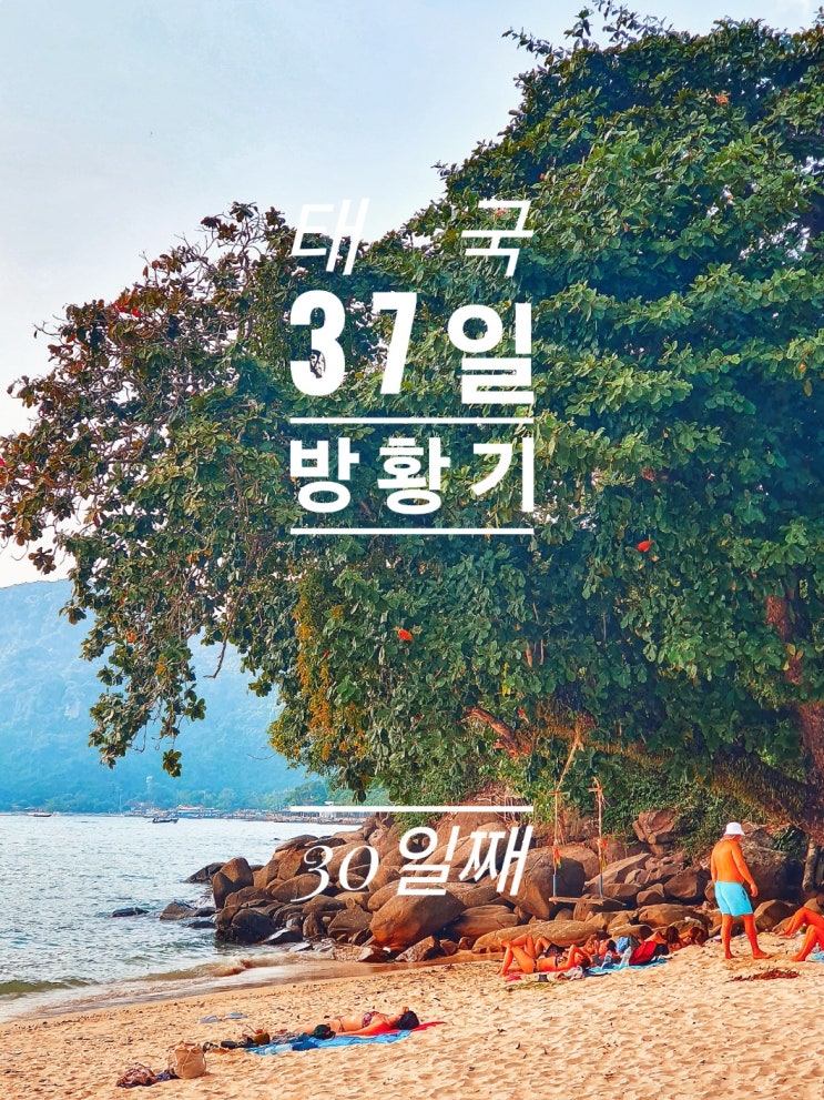  [태국 37일간의 방황기] 30일째 피피섬 롱비치 스노클링 Paradise Cuisine Phi Phi D.M.C Restaurant