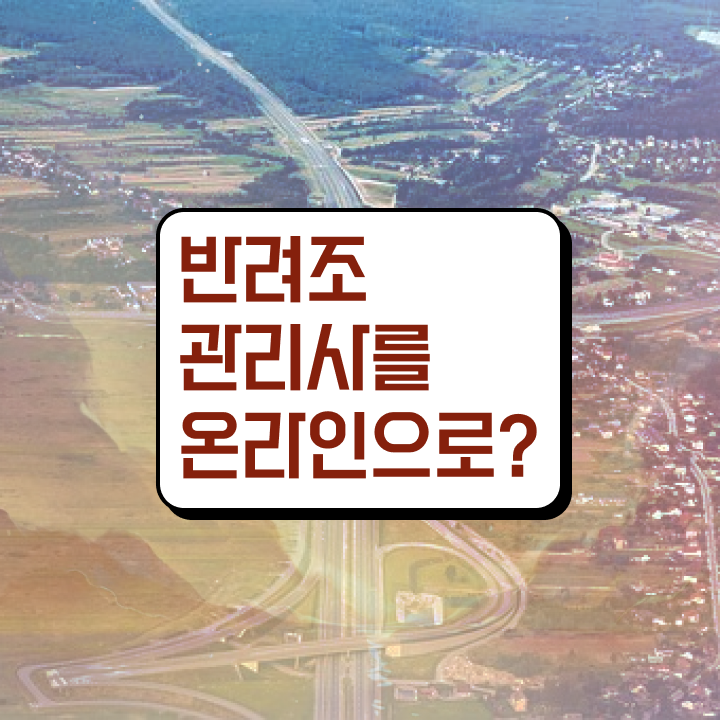 앵무새 지능 , 반려조관리사 자격증 합격한 후기 정보 가득