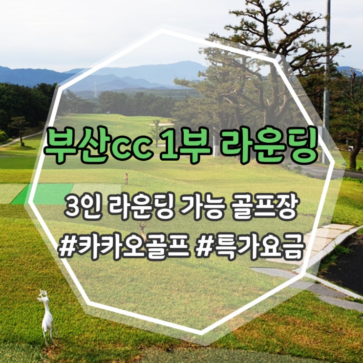  부산경남 3인 가능 골프장, 부산cc 평일 1부 라운딩 후기