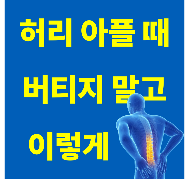  강동 헬스장 [허리 아플 때 도움되는 스트레칭과 운동 TOP10]