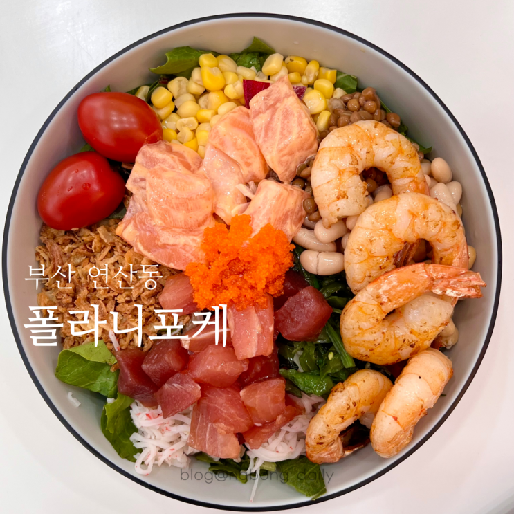  연산동맛집 폴라니포케 연산동샐러드 다이어트 식단 추천