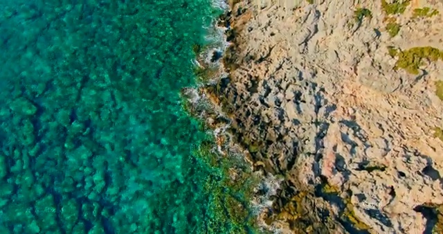  사주 명리학 초보탈출 , 심리상담사 자격증 합격한 전략 알아볼게요
