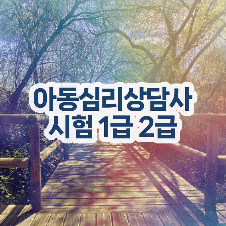  심리상담사문제집 , 심리상담사 자격증 20일 만에 취득한 정보 , 활용 방법