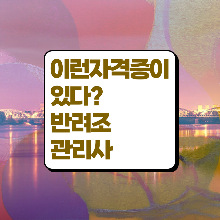  앵무새 가격 , 반려조관리사 자격증 학습한 후기 정리해봤어요