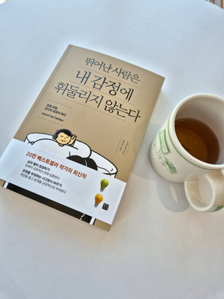  감정관리 뛰어난 사람은 내 감정에 휘둘리지 않는다 정민미디어 감정조절서