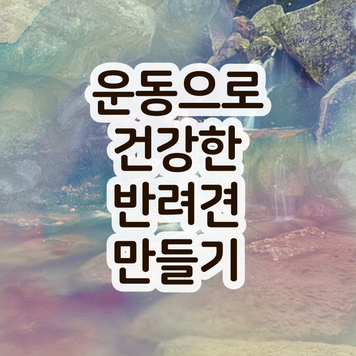  , 반려견운동지도사 온라인 수업만으로 손쉽게 성공한 비법