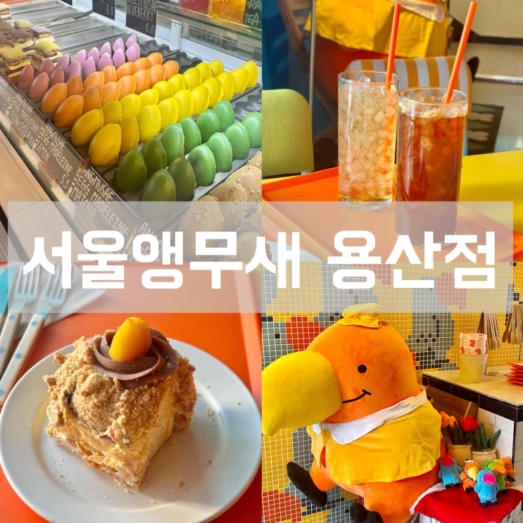 신용산역 근처 대형 카페 서울 앵무새 반려동물 동반 포장 가능한 디저트 퀸아망 맛집
