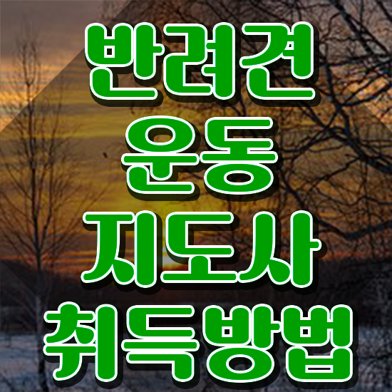  40대취업 , 반려견운동지도사 공부한 방법 , 인기있는 이유