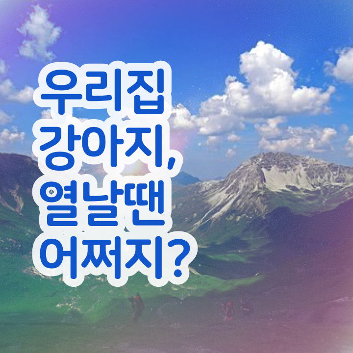  반려동물관리사 , 반려동물관리사 자격증 독학으로 취득한 정보 보고가세요