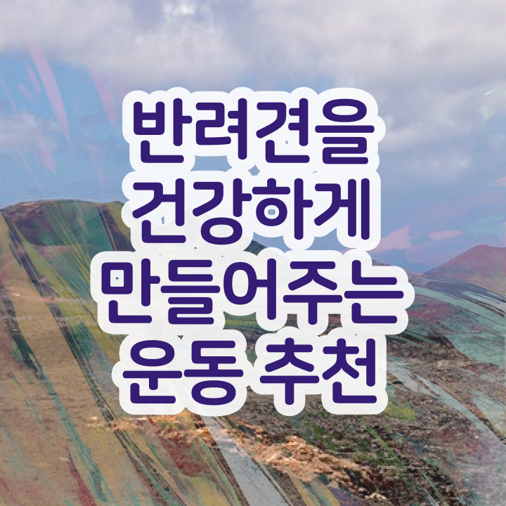  40대 경단녀 반려견운동지도사자격증 준비 과정 , 전망