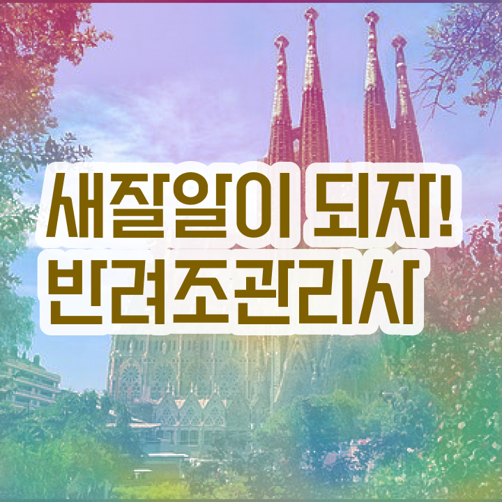  애완조 , 반려조관리사 자격증 직장인도 쉽게 준비한 방법 핵심 정보 가득