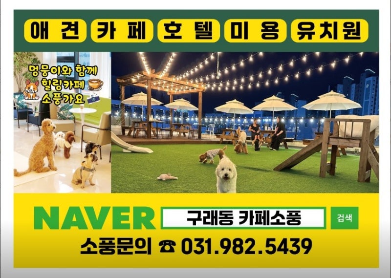 사진 7