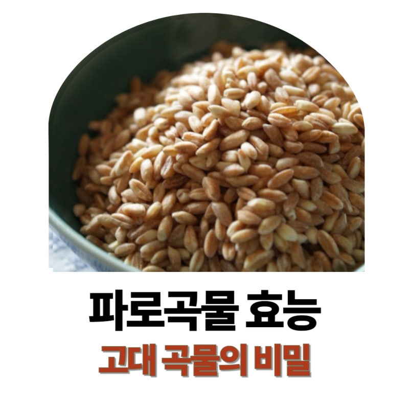 파로곡물 효능과 다이어트에 먹는법