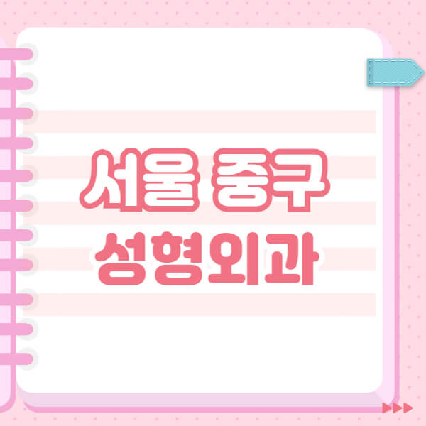  서울 중구 성형외과 잘하는 유명한 곳 추천과 일요일 전문의 블랙리스트