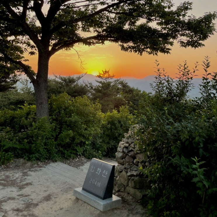  울산 입화산(204m) [중앙고-태화저수지-전망대-정상] 등산후기