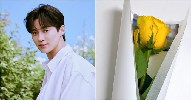  기자에게 꽃 선물한 변우석, 류선재 본체도 ‘유죄인간’ 맞네요 하니양재웅, 9월 결혼? “사생활 확인 불가” 김호중 검찰 송치…다리 절뚝거리며 "끝나고  ...실시간 핫이슈
