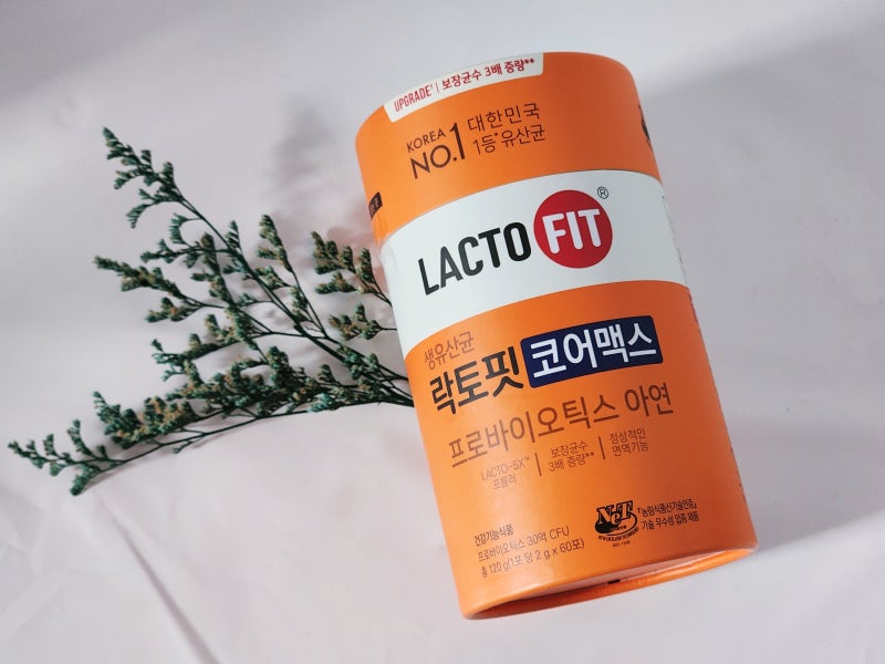 [ 리뷰 ] 종근당 생유산균 락토핏 코어맥스 후기 효능 골드 코어 차이