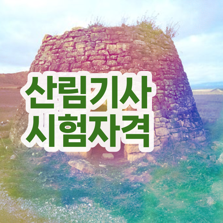  산림기사 하는일 산림기사 시험응시자격 온라인 과정으로 편하게 준비한 방법