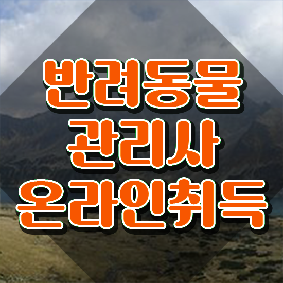  40대자격증 , 반려동물관리사 자격증 준비한 방법 확인하고 가세요