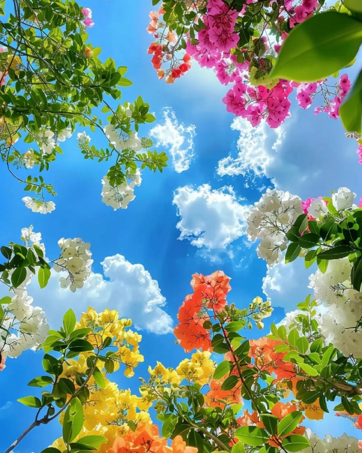   오늘의 생활정보 (2024-05-31, 금)