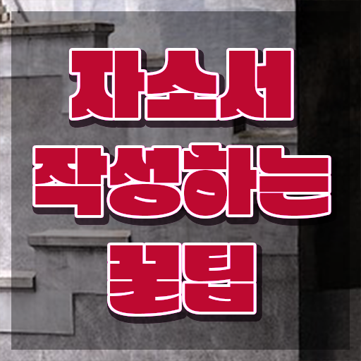  버스자기소개서 , 자기소개서지도사 자격증 준비한 과정 소개