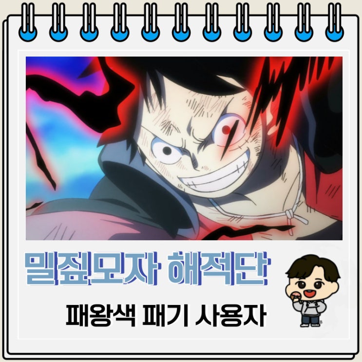 원피스 밀짚모자 해적단 패왕색 패기 사용자 원피스 밀짚모자 해적단 패왕색 패기 사용자