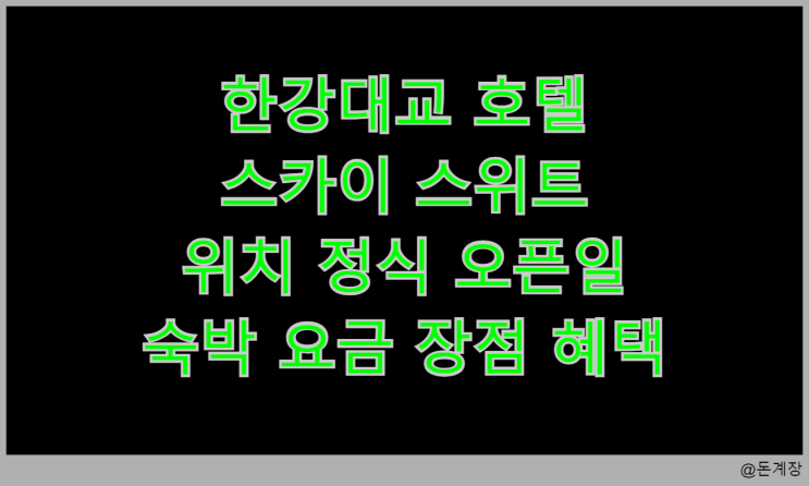 <b>한강대교 호텔 스카이</b> 스위트 위치 정식 오픈일 예약일 숙박... 
