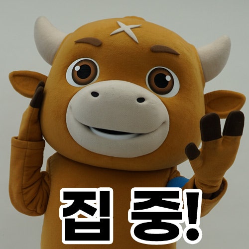 사진 8