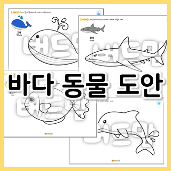  바다 동물 도안, 바닷속엔 어떤 동물이 살고 있을까?