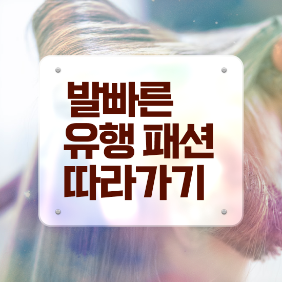  퍼스널 컬러 테스트 , 퍼스널컬러컨설턴트자격증 20일 만에 취득한 방법 여기만 보세요