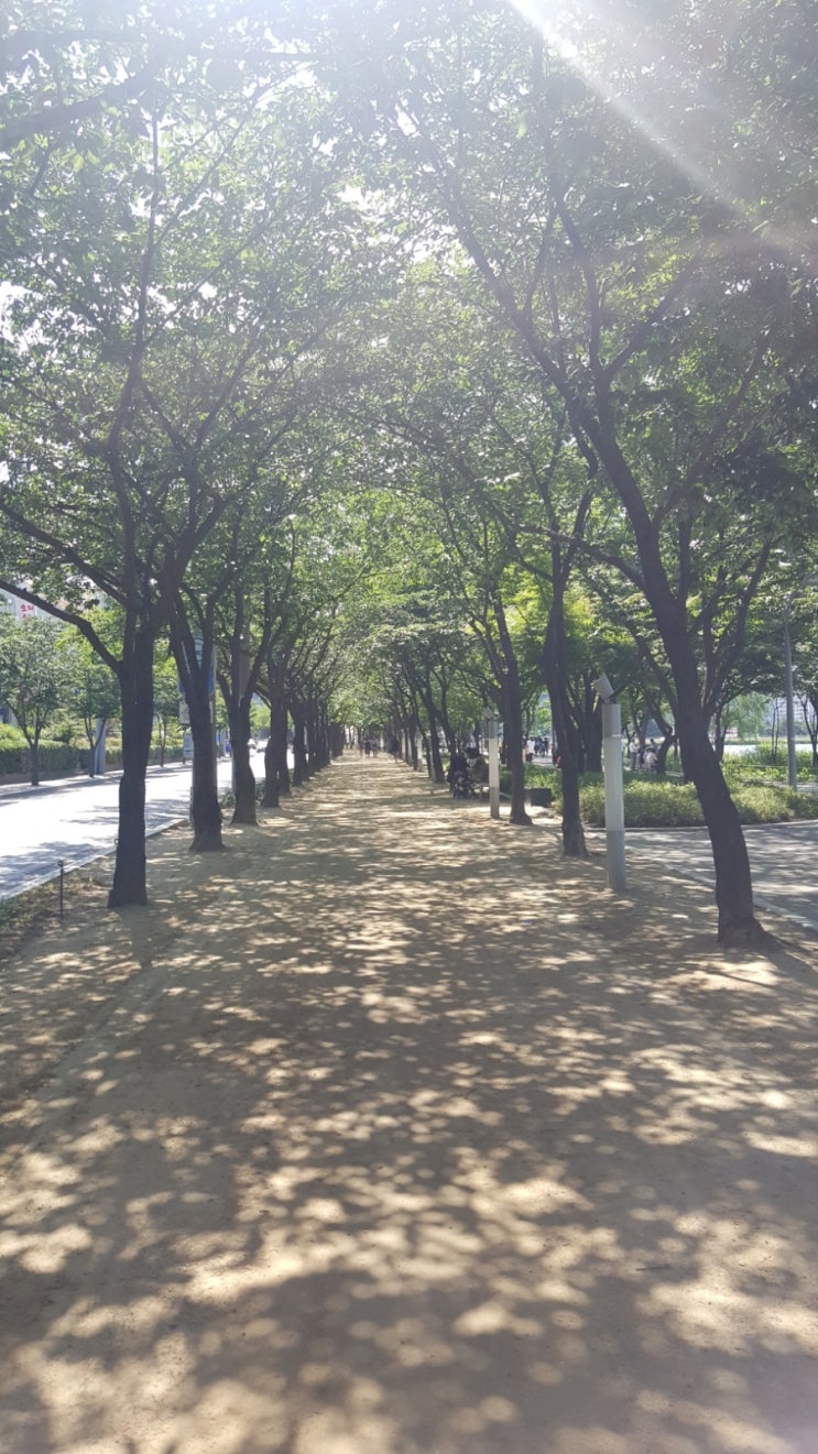 <b>고우석</b>이 알려준 한국야구의 현주소