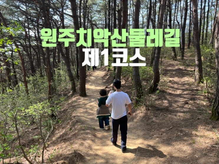  원주 치악산 둘레길 정보 1코스 난이도 맨발걷기 원주 가볼만한 곳