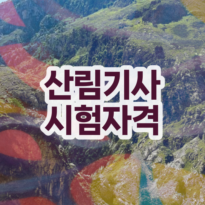  산림기사 필기 독학 산림기사 시험자격 독학으로 4개월 만에 준비한 팁