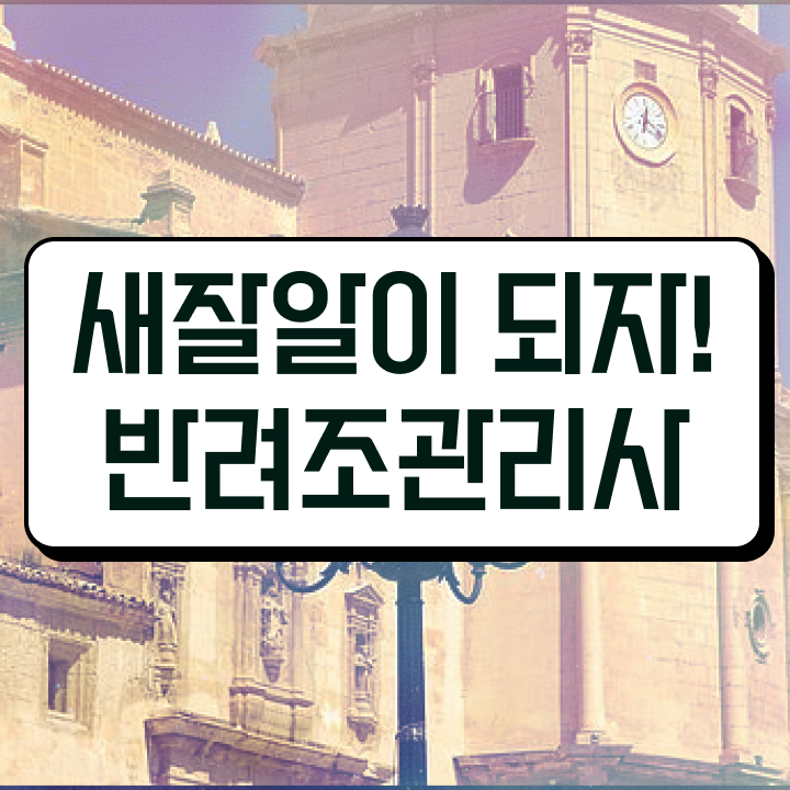  코뉴어 앵무새 가격 , 반려조관리사 자격증 온라인으로 시험준비 , 고용 전망