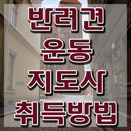  동물관리사 , 반려견운동지도사 취득방법 및 무료수강 혜택