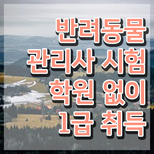  40대남자취업 , 반려동물관리사 자격증 취득했던 후기 궁금증 해결