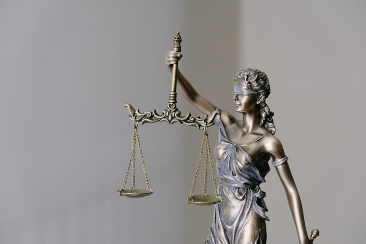  외국인 근로자 허위초청 / 불법체류자 고용 시, 대표이사의 책임에 관하여(출입국관리법 위반 사례)