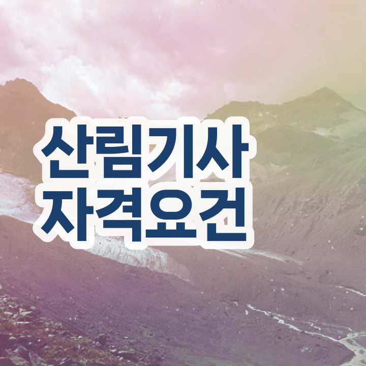  산림기사 필답 산림기사 응시자격 온라인 수업으로 15주만에 완료한 후기